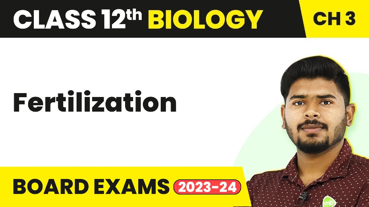 Fertilization - Human Reproduction | Class 12 Biology (2022-23)
