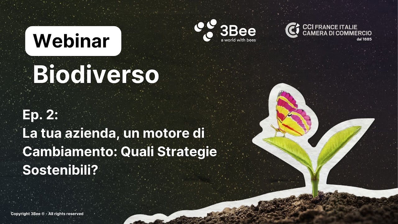 3Bee | Ep. 2: La tua azienda, un motore di cambiamento: quali strategie sostenibili?