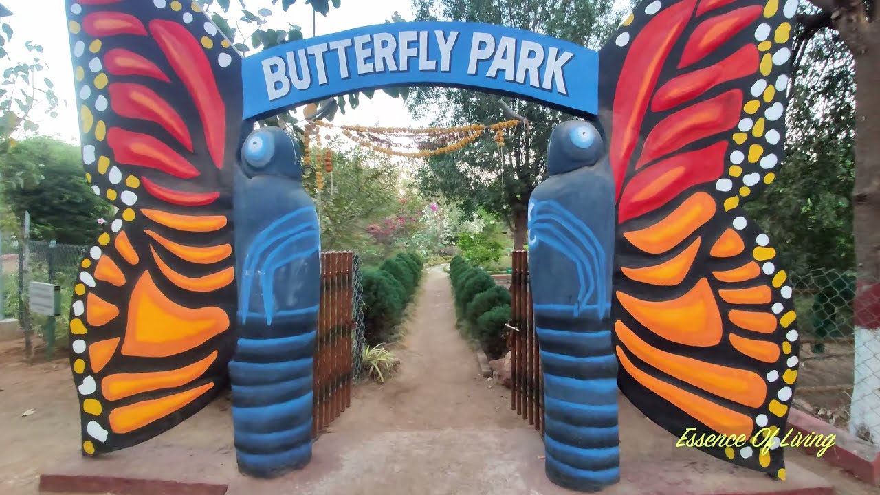MahbubNagar Mayuri Park || Mayuri Haritha Vanam || KCR ECO Urban PARK @Mahbubnagar, Telangana