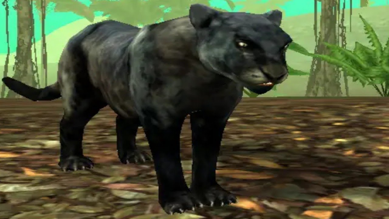Wild Panther Sim 3D - Open World Game of panther /  for Android & iOS ( Must Watch)