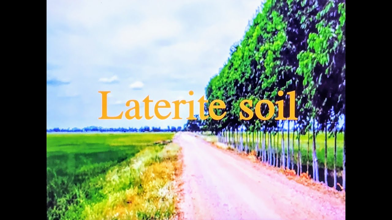 Laterite Soil, Soil Resources of India, Geography, Class -10 and 11- ICSE, CBSE