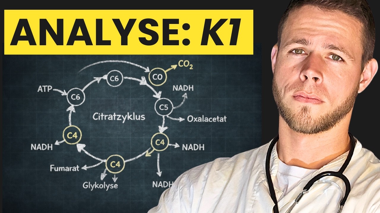 K1 Ketones im Check - Echter Fortschritt oder nur Marketing?