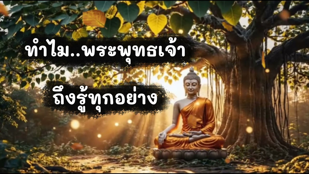 ทำไม..พระพุทธเจ้า..ถึงรู้ทุกอย่าง !!!คำคม คติเตือนใจ# บทความ สาระน่ารู้#สุขภาพ#ธรรมะ#ปรัชญาชีวิต