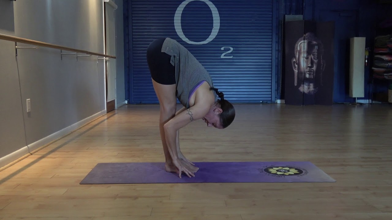 The Hot Fusion 26 Yoga Poses