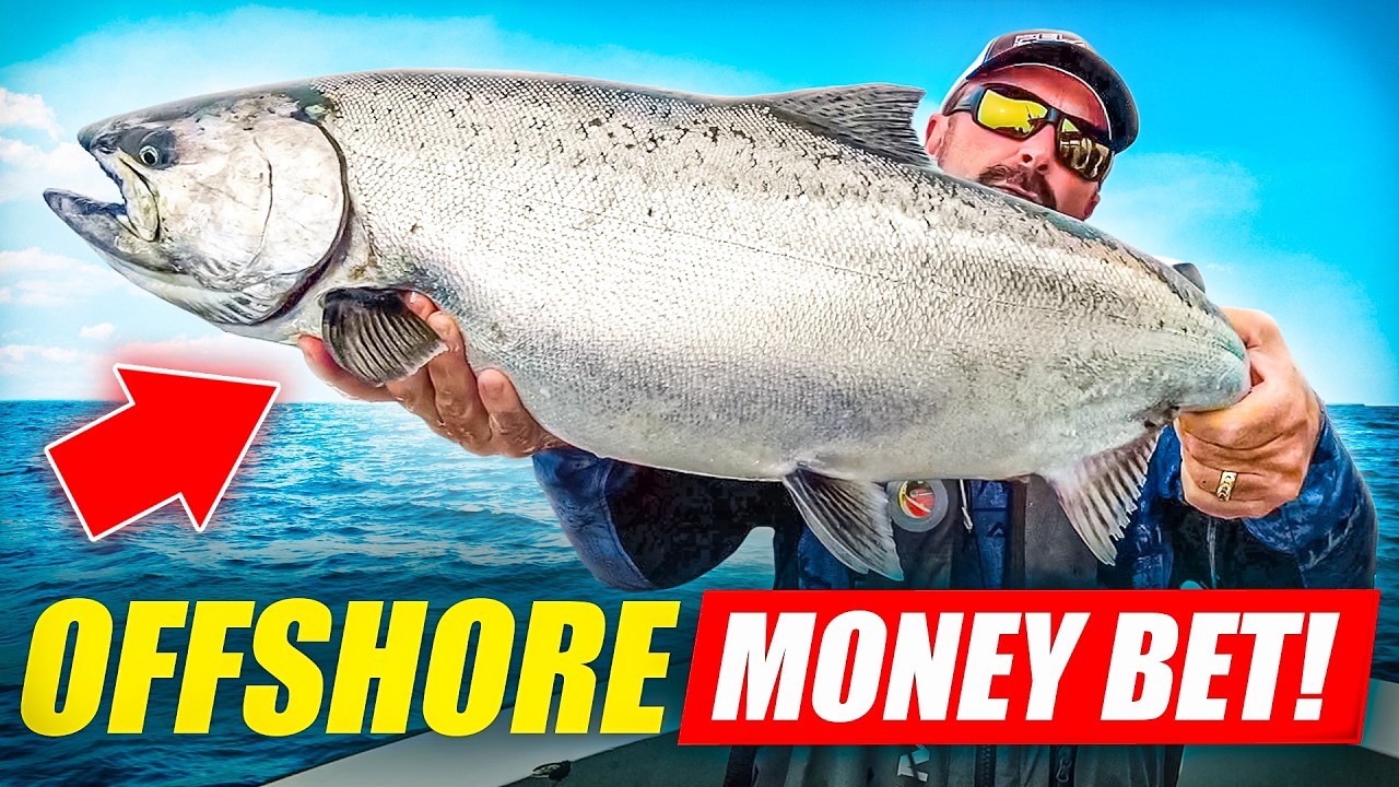 OFFSHORE MONEY BET!
