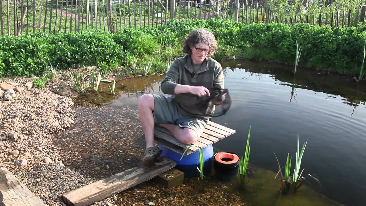 DIY floating skimmer for a natural pool - organicpools.co.uk