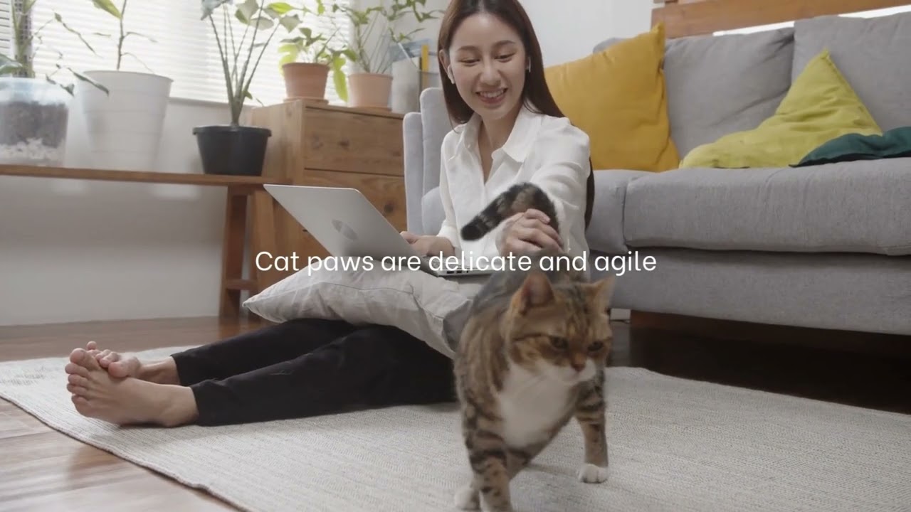 Dog vs Cat Paws 🐕🐈: Is the Paw Care REALLY Different? (The Truth Revealed)