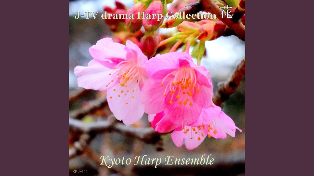 Dreaming Girl (「ひまわり」より）harp Version)