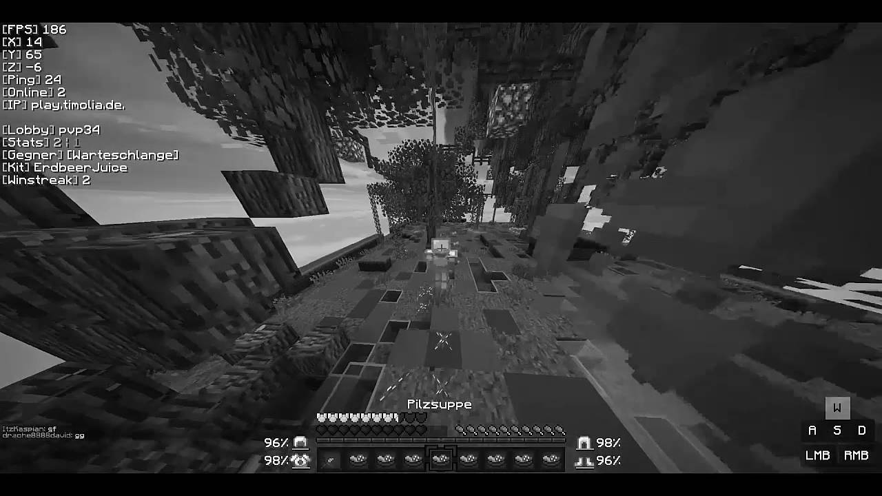 Minecraft Soup PvP/By ErdbeerJuice//