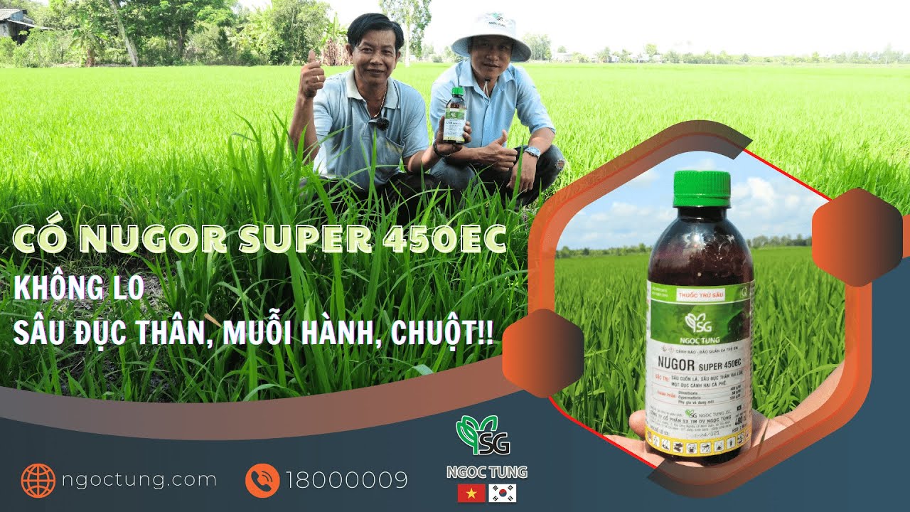 💥CÓ NUGOR SUPER 450EC - KHÔNG LO SÂU ĐỤC THÂN, MUỖI HÀNH, CHUỘT🐛🐀🦟🌾