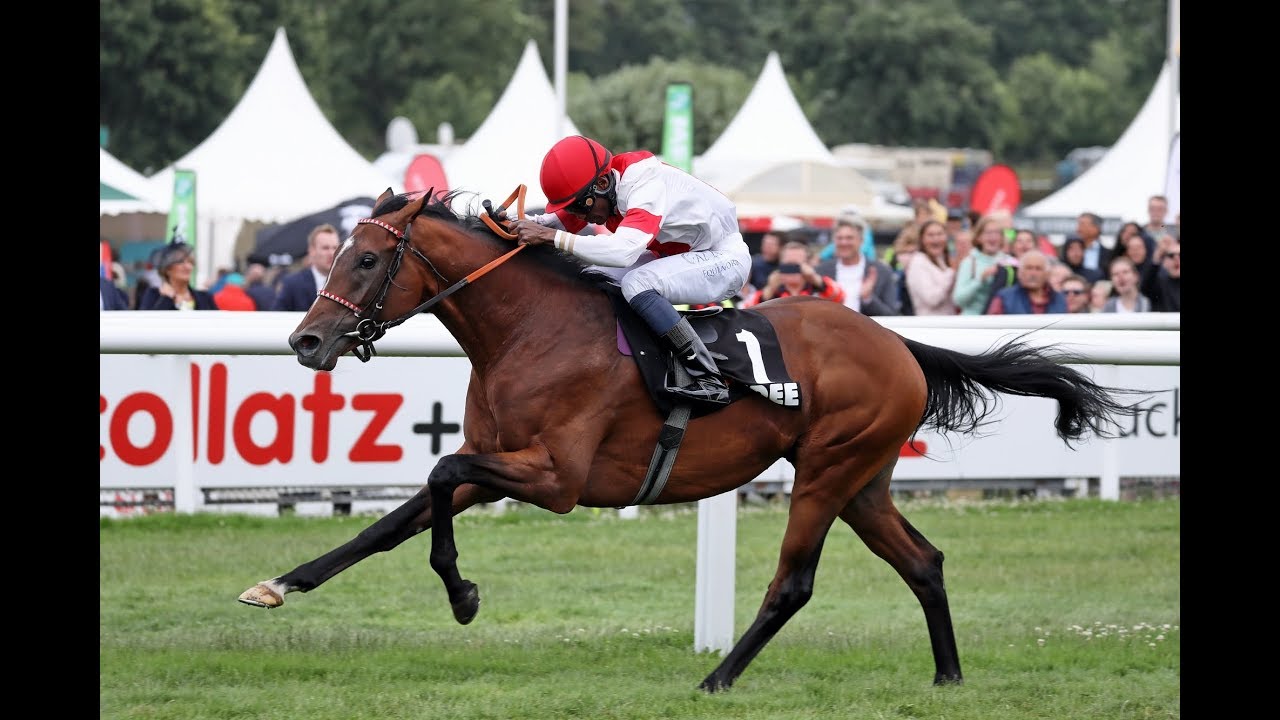 150. Deutsches Derby - Laccario - We will run for our Lives