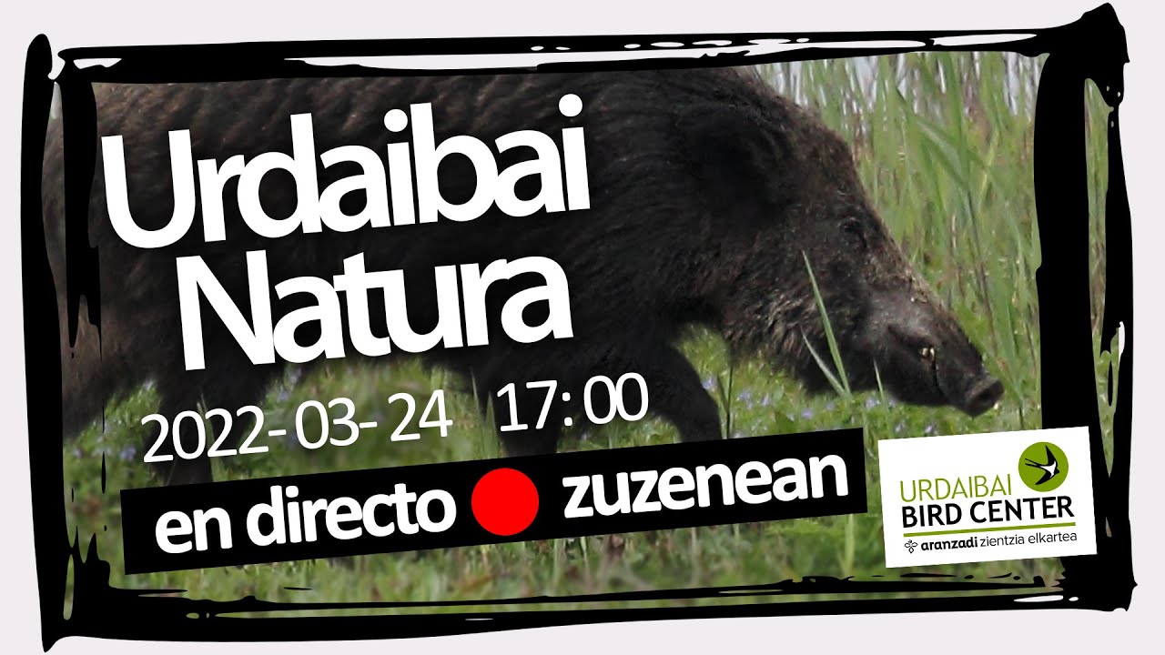 🔴 Programa semanal: Urdaibai Natura 24-03-2022