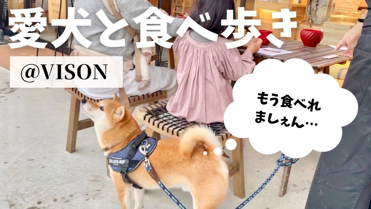 犬と食べ&飲み歩きできる至福の三重スポットを見つけました【VISON ヴィソン】