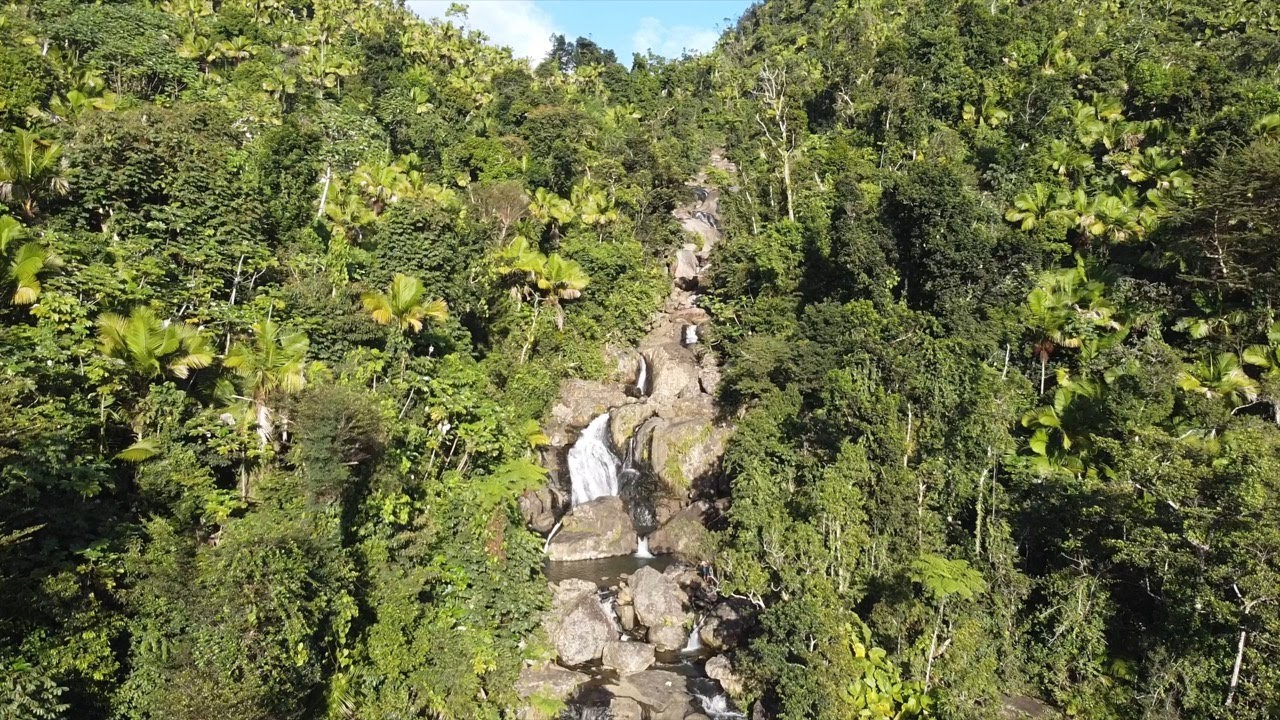 Infinity Pool Hike | El Yunque National Forest, Naguabo, Puerto Rico