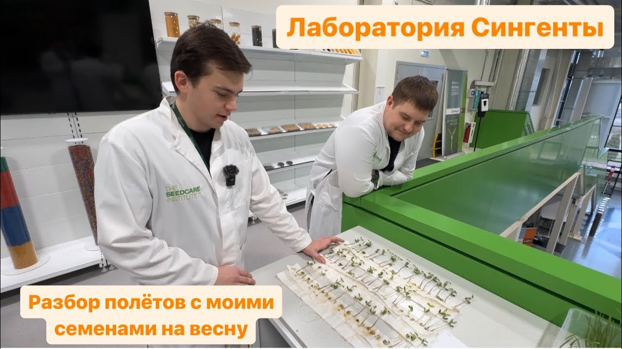 Тест моих семян в Институте Защиты Семян компании Сингента.