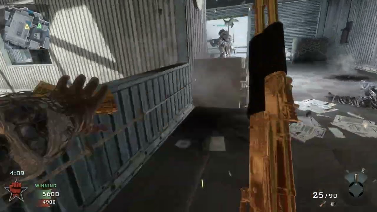 Call of Duty Black Ops Plutonium Client Team Deathmatch On Summit