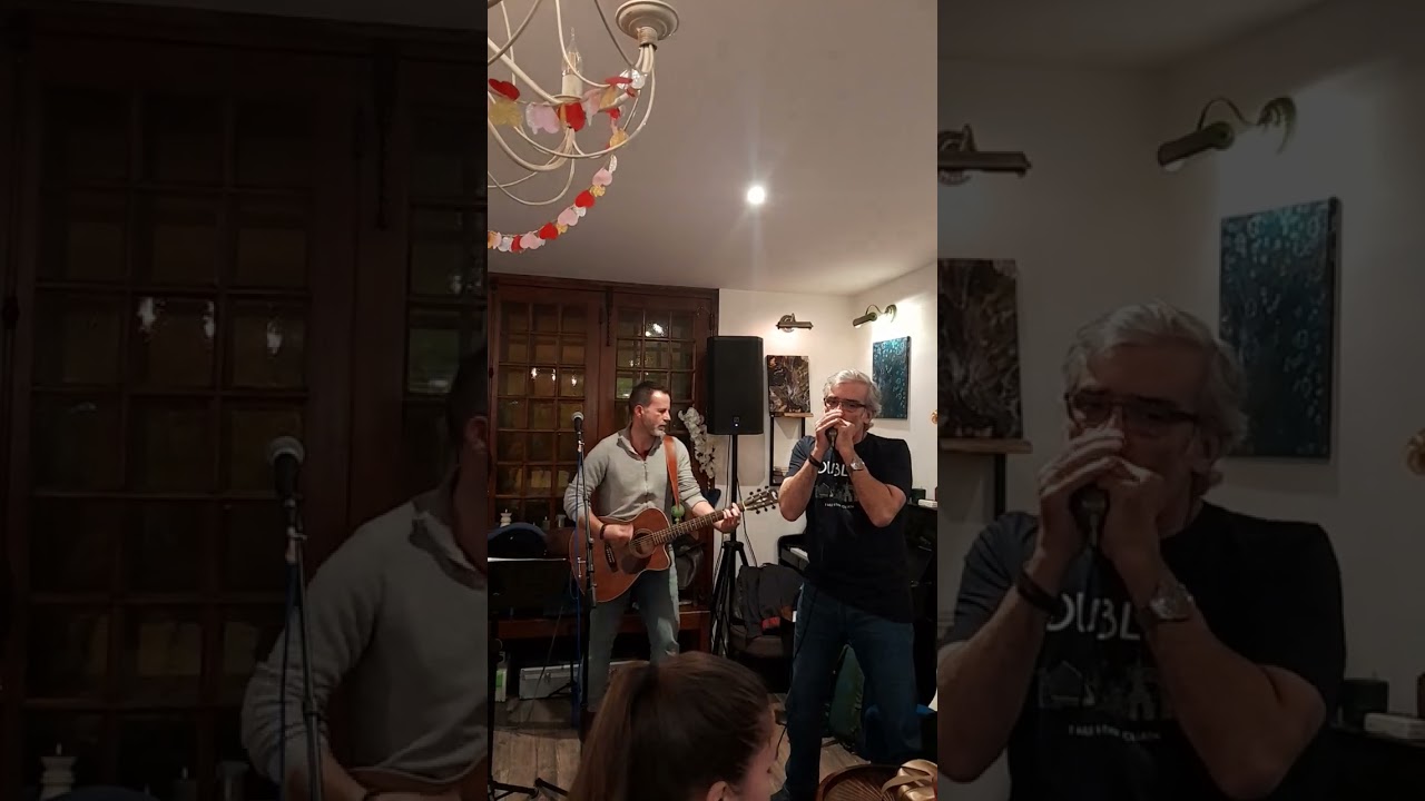 The house of the rising sun (traditional ,cover)