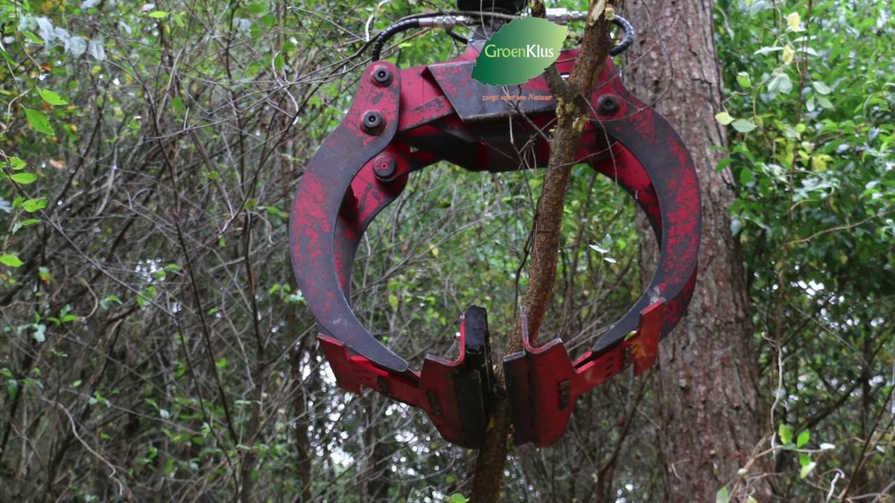 Machinaal verwijderen  Prunus Serotina (Bospest of Amerikaanse vogelkers)2