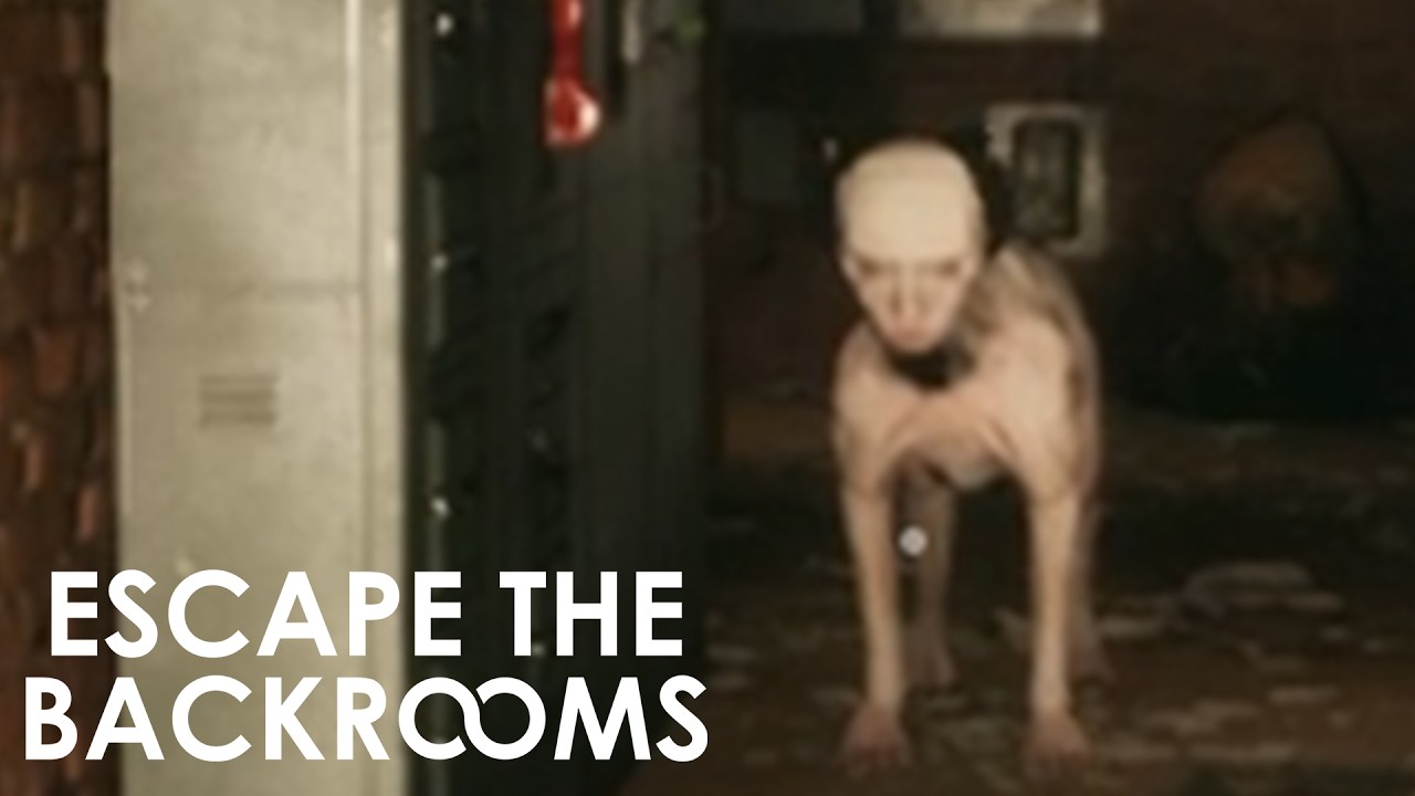 Escape the Backrooms: Doggy Wants Pets
