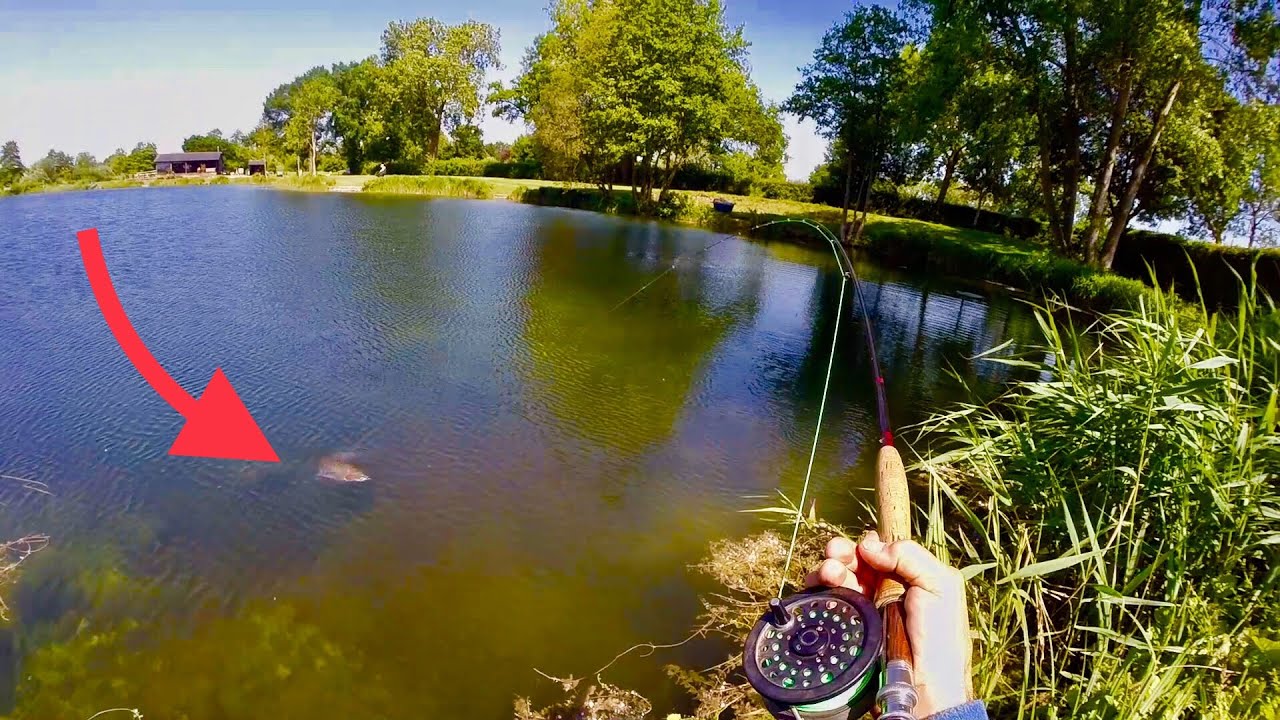 Catching Fish in Ultra Clear Water