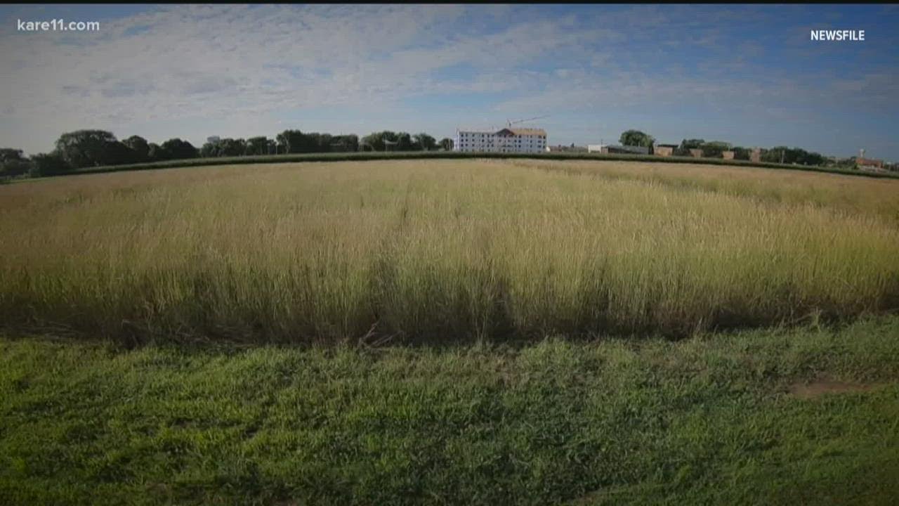 MN wheat farmers feel impacts of Russia's war in Ukraine