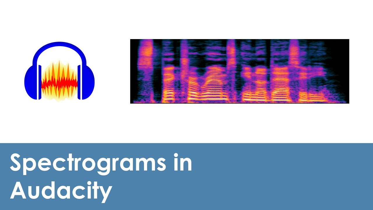 How to use spectrograms in Audacity