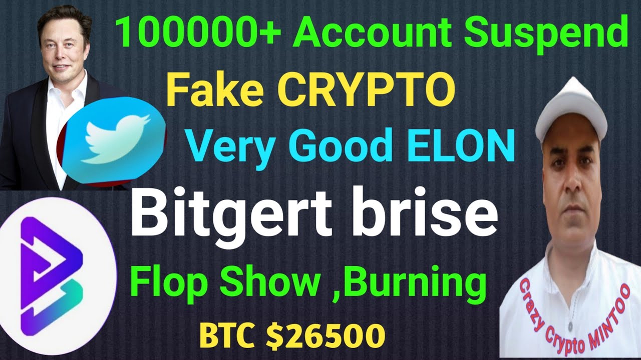 Bitgert Burning Flop Show || 100000+ Ac Suspended- Elon Musk || Crazy Crypto MINTOO || Binance