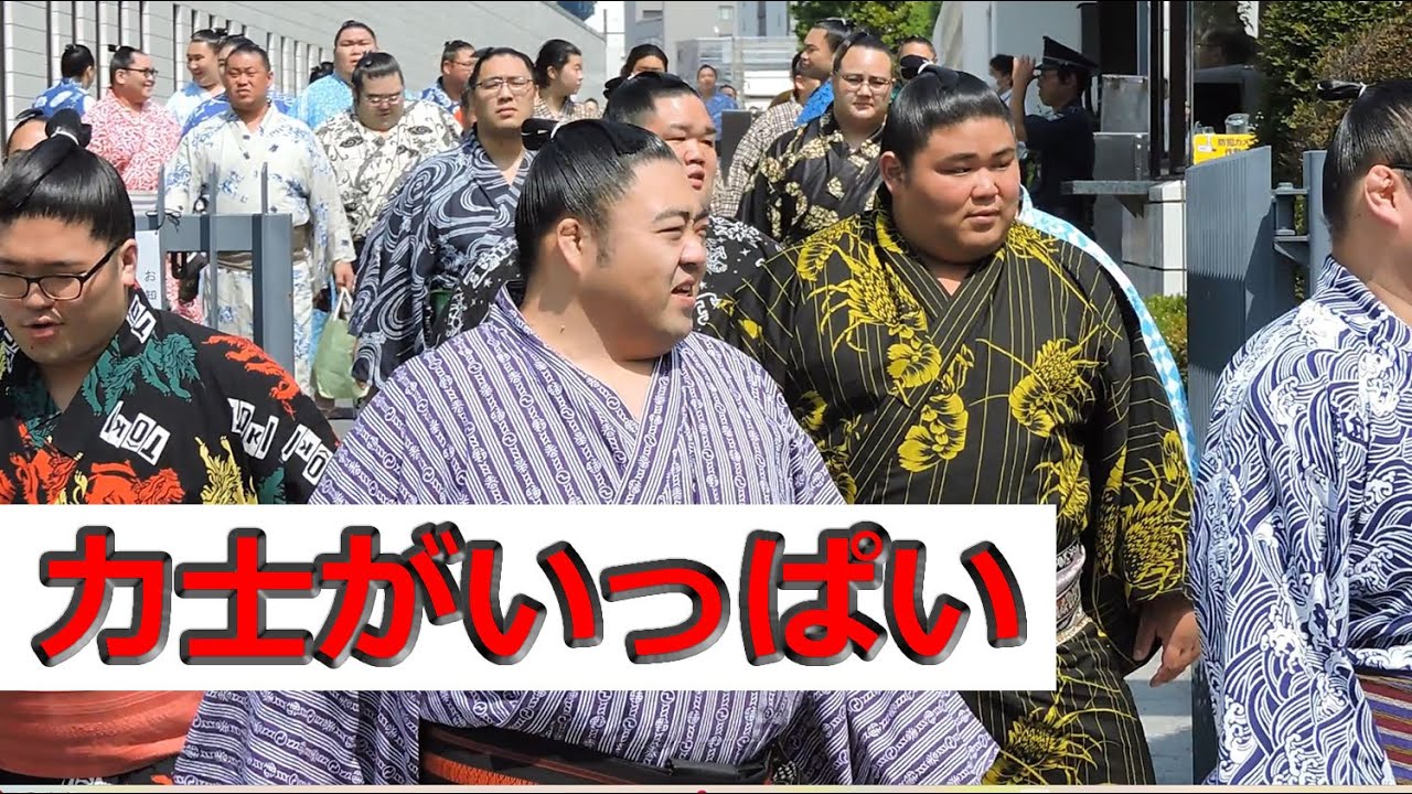 【ファン必見】2024年 たくさんの力士が出てきた光景　#国技館 #Sumo Wrestlers