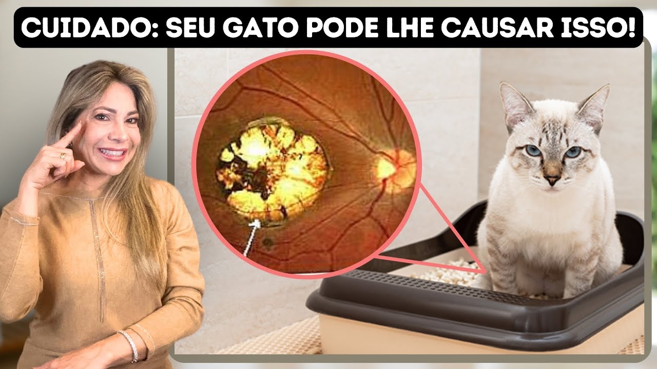 Cuidado Com Seu Gato!! Ele Pode Causar Doen&ccedil;as Oculares