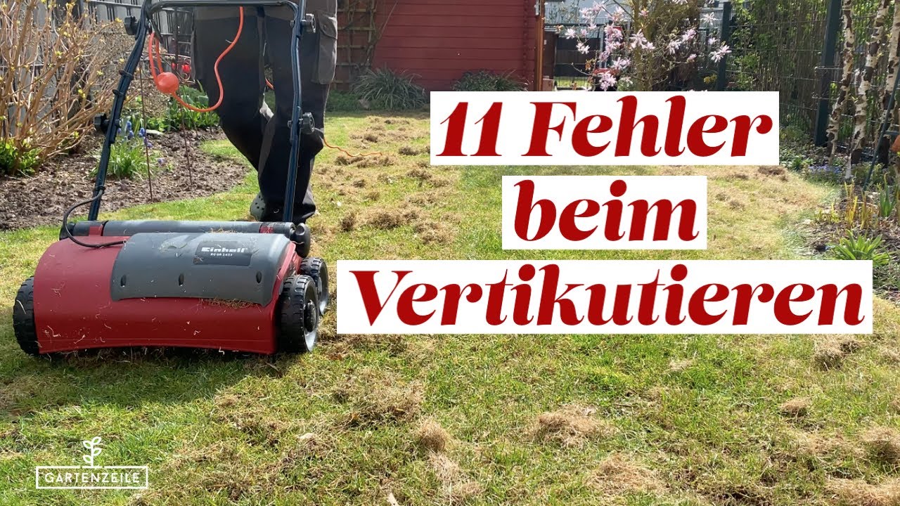 Vermeide diese 11 Fehler beim Vertikutieren deines Rasens! Einfach erklärt!
