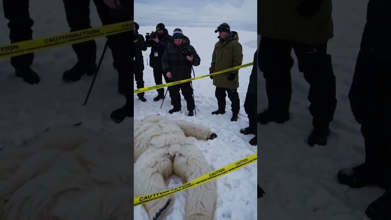 I Thought Yeti was just a cooler 🧊? #yeti #bigfoot #snowman