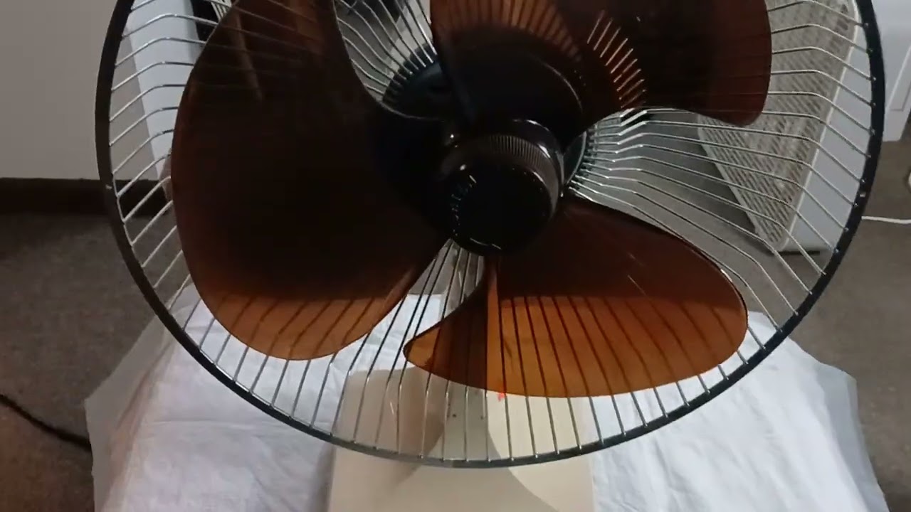 All My Fans and Ceiling Fans pt:1