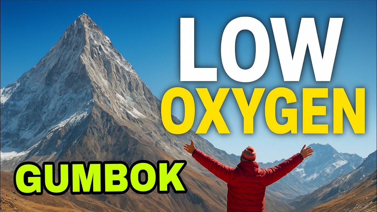 Shinkula Pass to Gombo Ranjan | 😱Oxygen Drop to 52%! Jalandhar to Ladakh Part 5