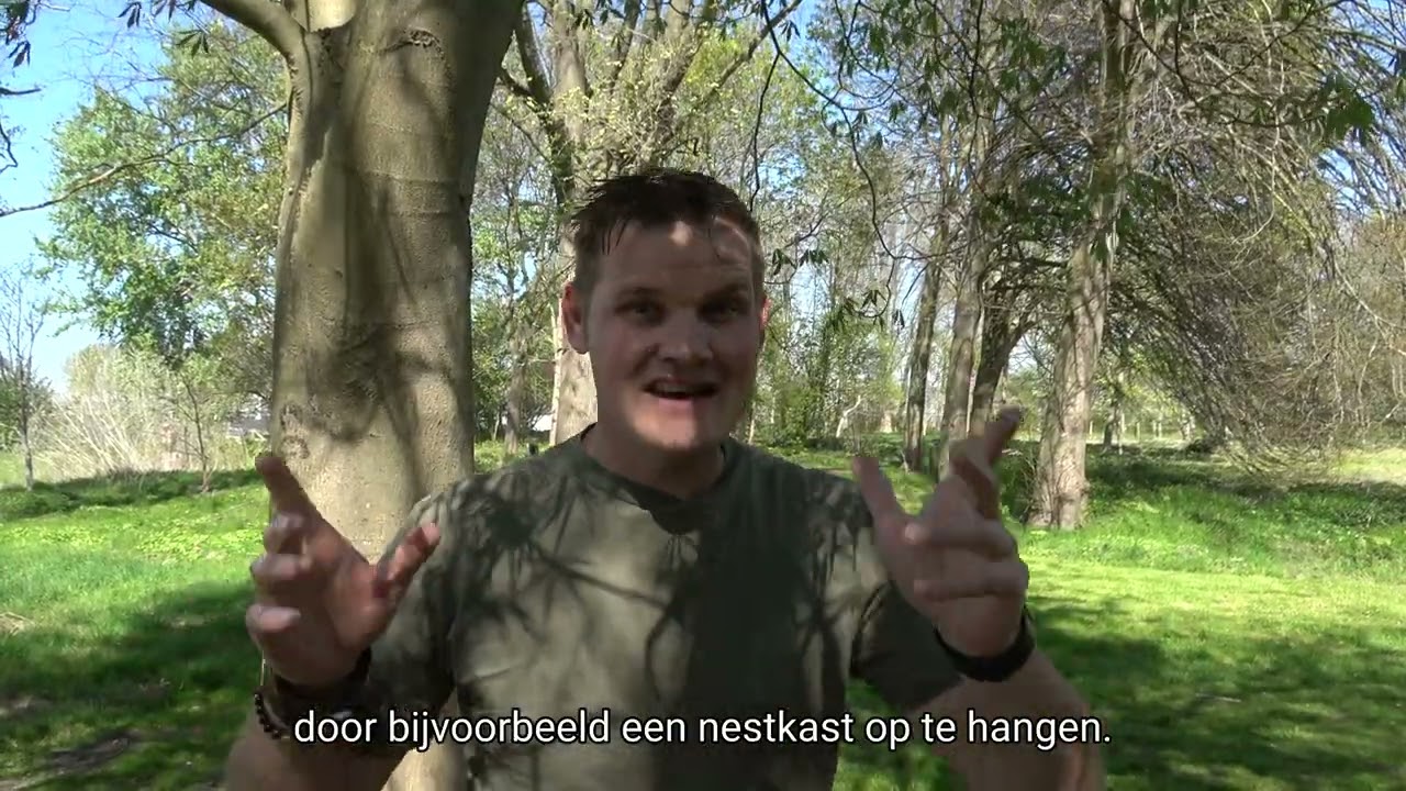 Tuintip 3: Biodiversiteit | Bram Engberts