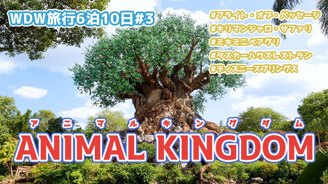 【WDW旅行6泊10日】#3 アニマルキングダムで心を癒される@初ウォルトディズニーワールドinフロリダ #vlog