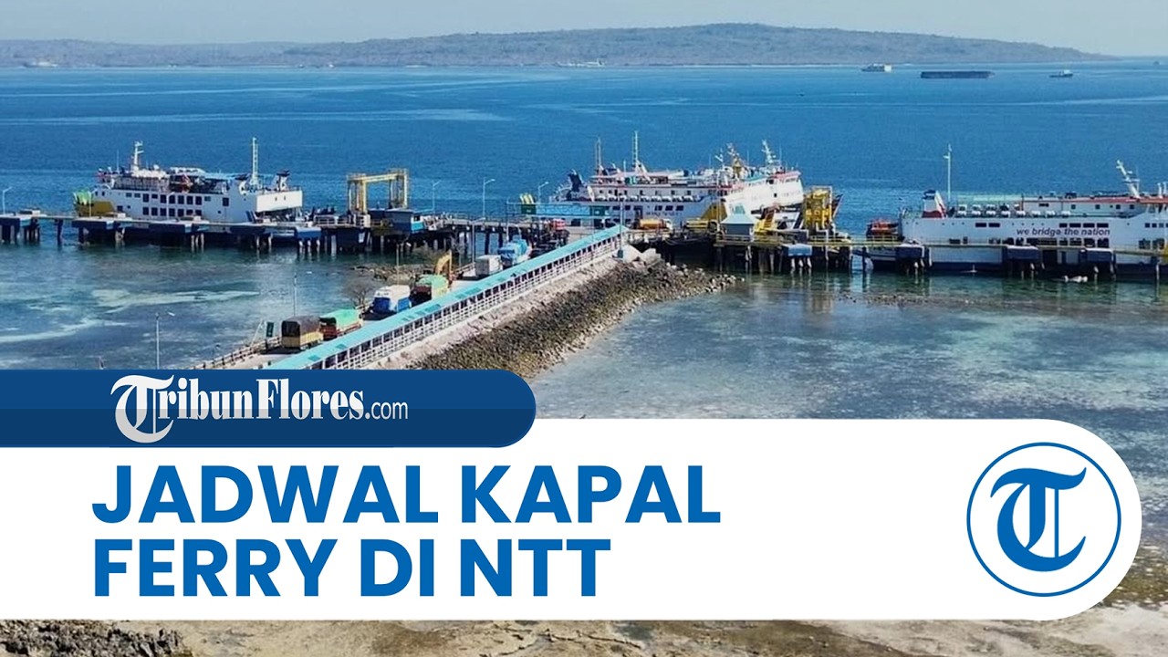 Jadwal Kapal Ferry di NTT Selasa 17 Februari 2026, Rute KMP Kalibodri Kupang - Rote PP