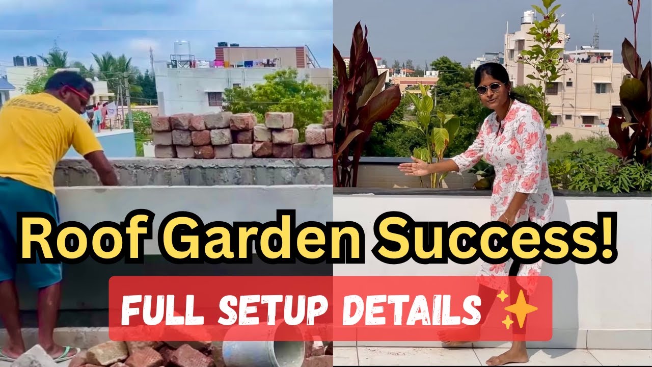 Rooftop Garden Full Update