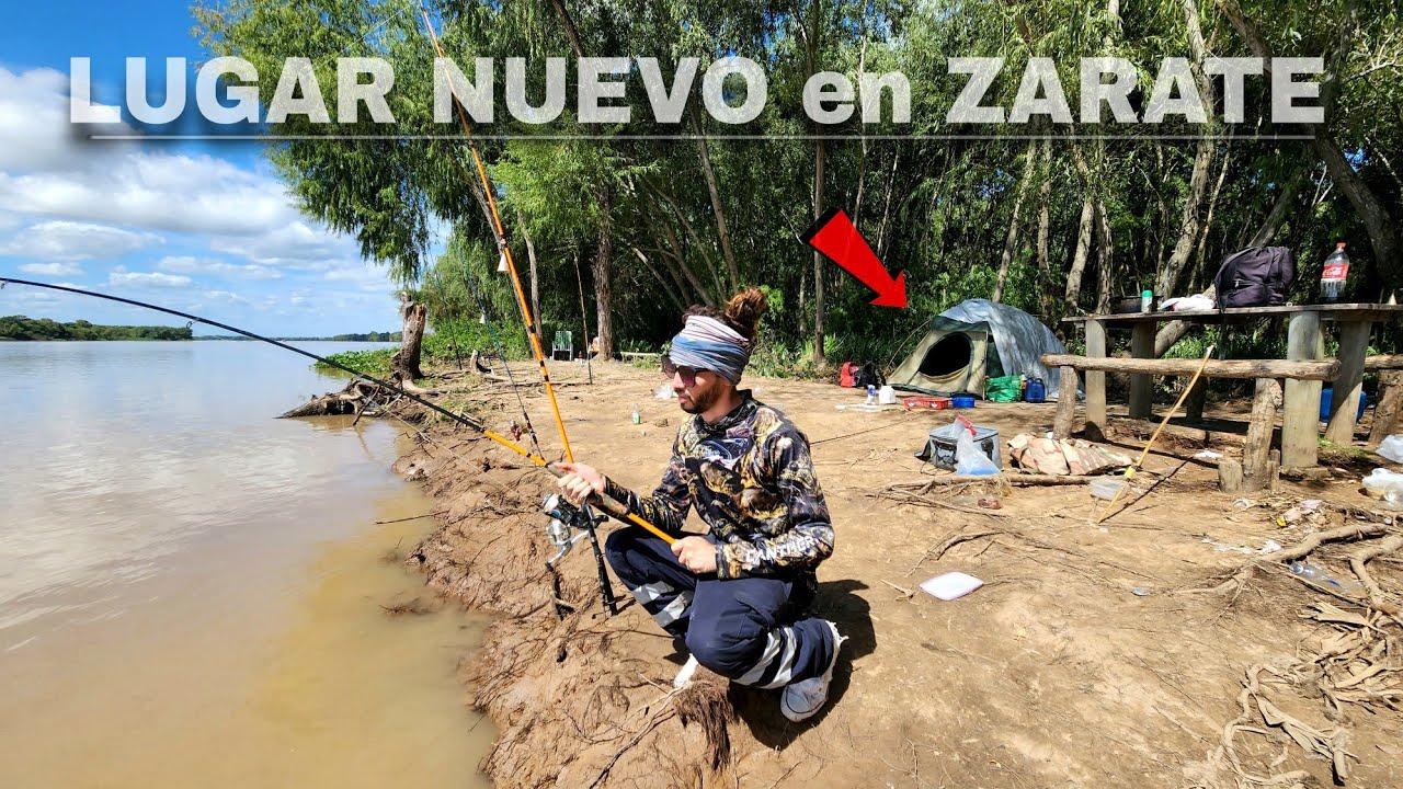 MUCHAS BOGAS en el PESQUERO LOS TRONCOS, ZARATE, LUGAR CEBADO, pesca en Zarate | El Chuza pesca.