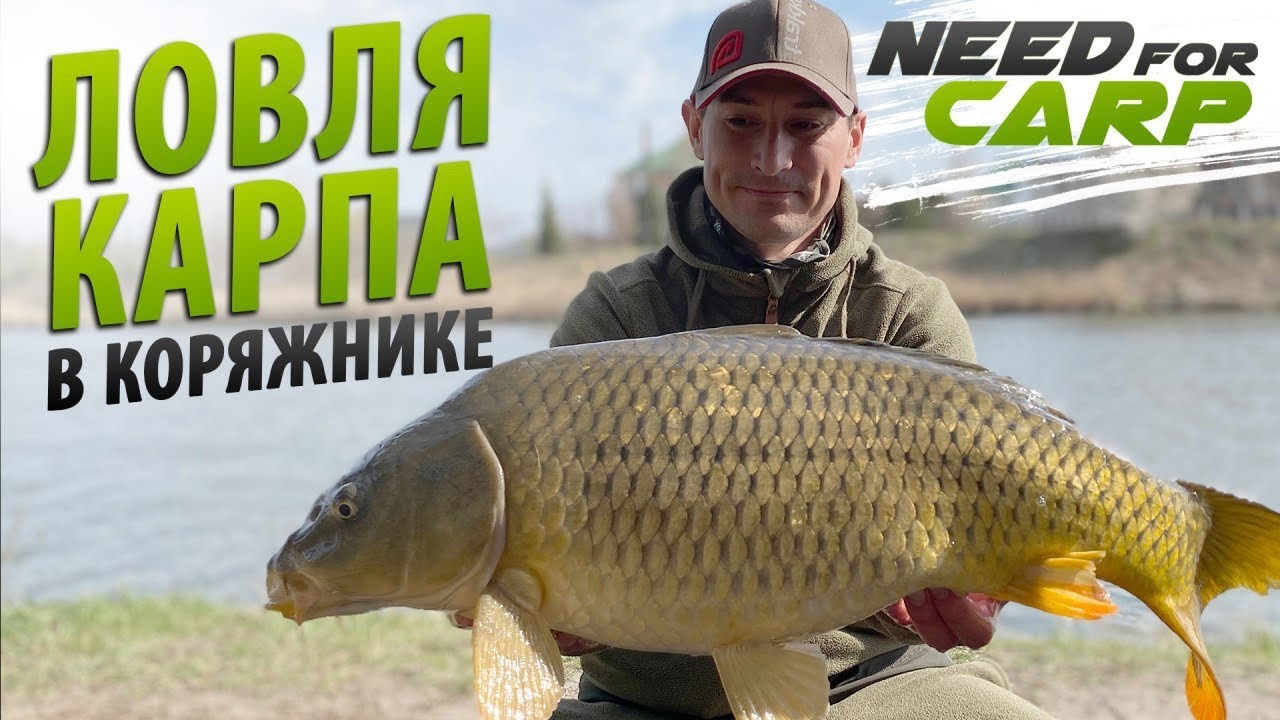 Рыбалка на карпа в коряжнике. Озеро Михайлина