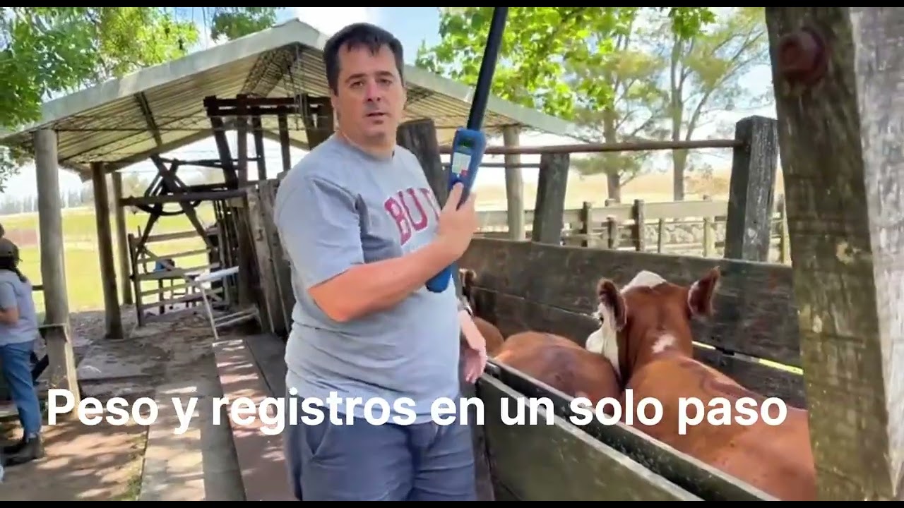 Video 01