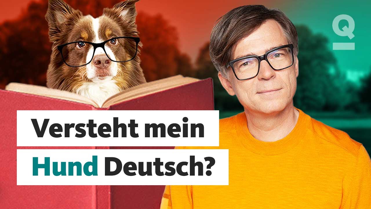 Können Hunde unsere Sprache verstehen? | Quarks Dimension Ralph