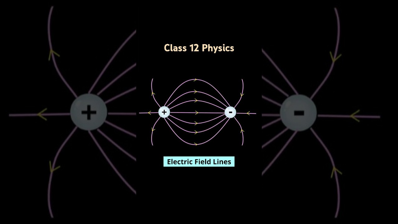 Electric Field Lines Between Two Opposite Charges Explained! | Class 12 Physics