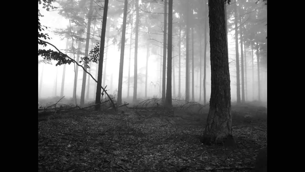 [ORIGINAL] Slender Man Song