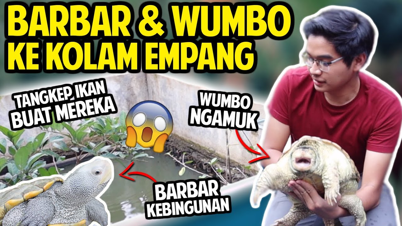 NGAJAK BARBAR DAN WUMBO KE KOLAM EMPANG?! KITA TANGKEPIN IKAN BUAT MEREKA SAMPAI KENYANG!
