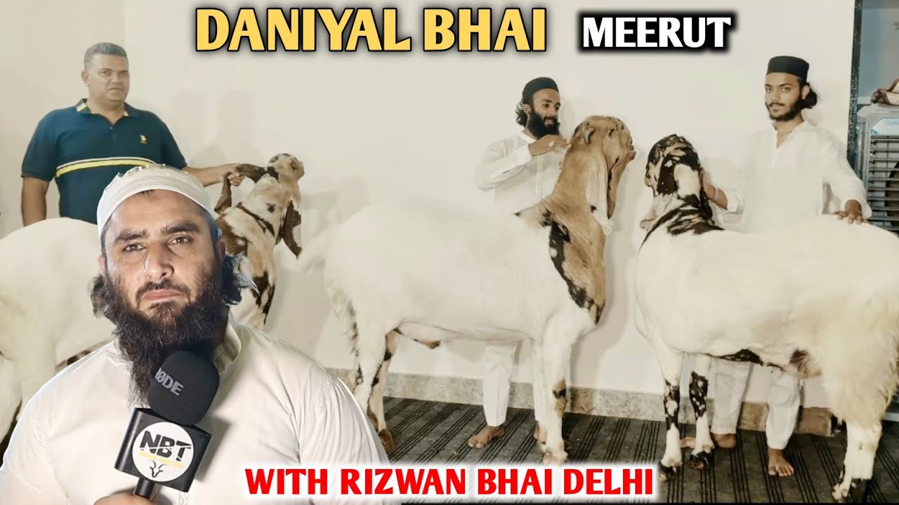 Nayaab Mewati Bakro Ka Shoukh At Daniyal Bhai's Home Meerut