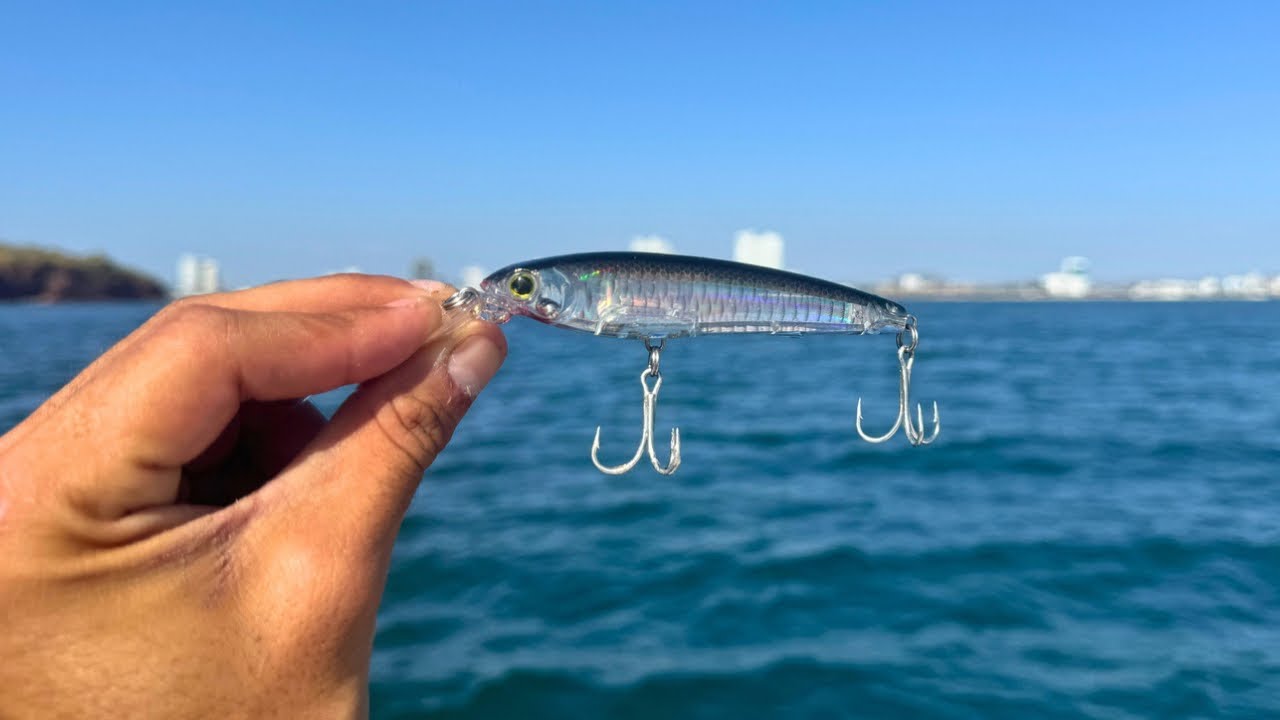Pesca de Pargos Y Meros con Minnow Yo zuri