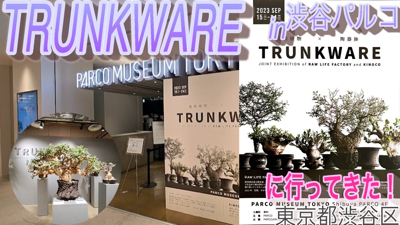 「TRUNKWARE」に行ってきた！　【お散歩記録　参拝記録】