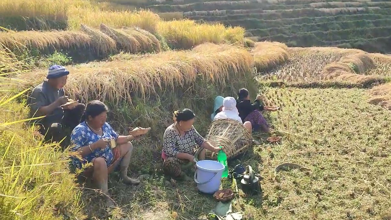 खाजा खाने काम हुँदै छ साथीहरू हो।