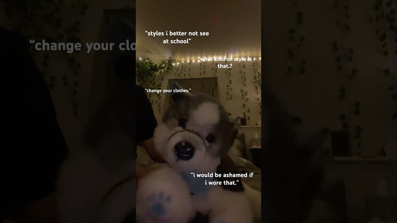 who really cares? #essa #emotionalsupportstuffedanimal #stuffedanimals #dssa #husky #dog