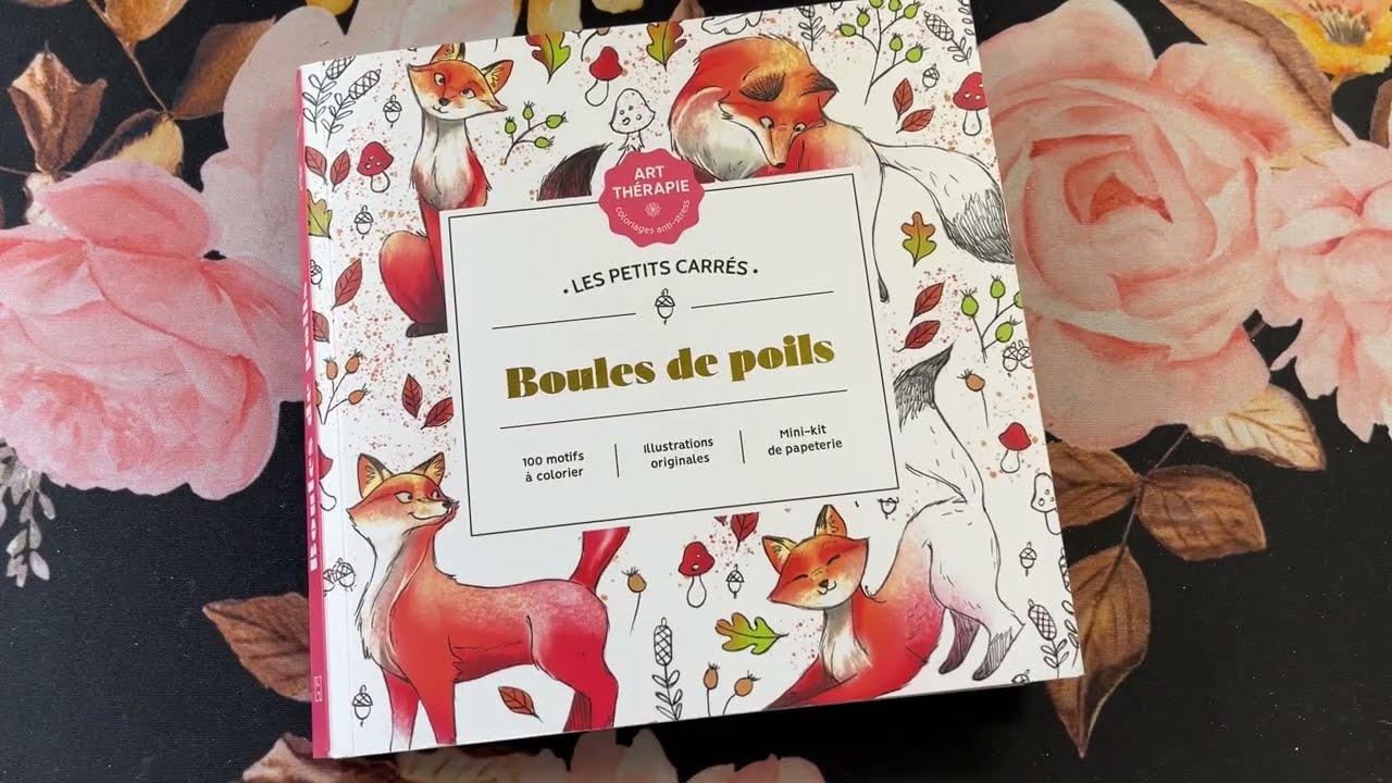 Boules de Poils  Flip Through